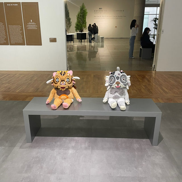 대전 시립 미술관 추천