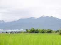 Viewna Little Home ที่พักน่าน