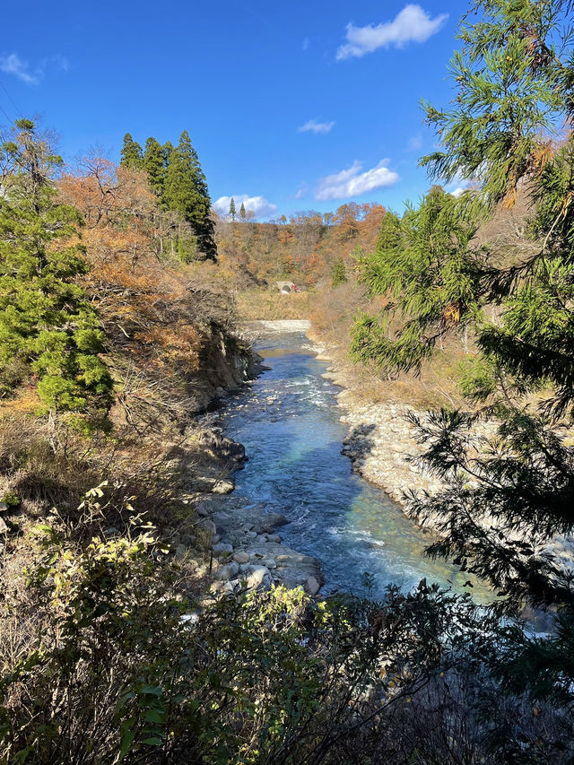 【新潟×日本の絶景】  渓谷の紅葉🍁が映し出される水面のリフレ  トンネル内も楽しめます！