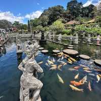 Enchanting Waters of Tirta Gangga