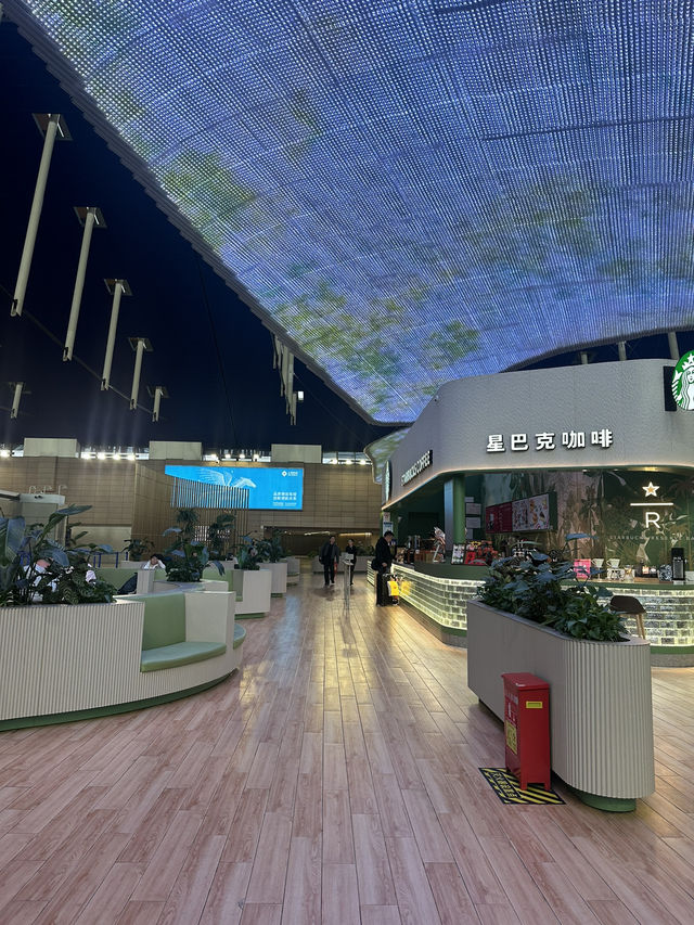 【中国🇨🇳上海】朝早くから開いている空港のおしゃれスターバックス☕️