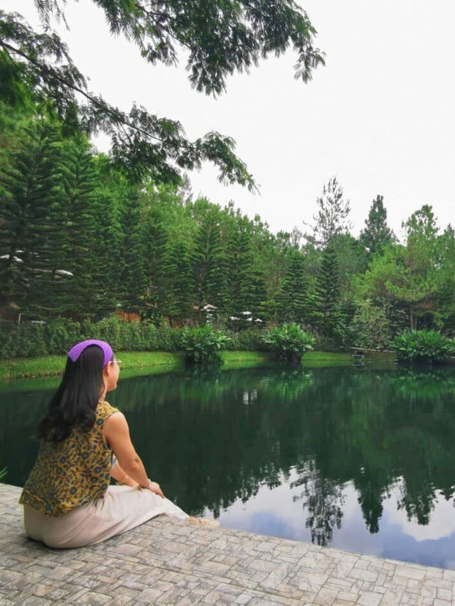 🏕️ วิลล่าป่าสน เขาค้อ