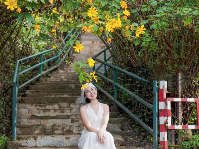 🌼 ทุ่งดอกบัวตองที่ใหญ่ที่สุดในไทยบานแล้ว