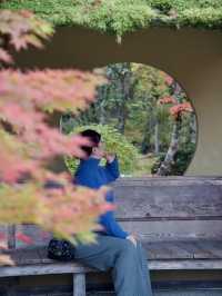 《松島》美しき紅葉を探しに🍁