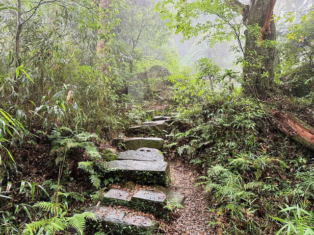 Sashiro Sanroku Park