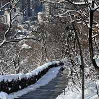 A White Wonderland: N Seoul Tower in the Snow