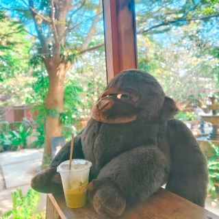 คาเฟ่ สไตล์สวนหลังบ้าน @ ชัยนาท
