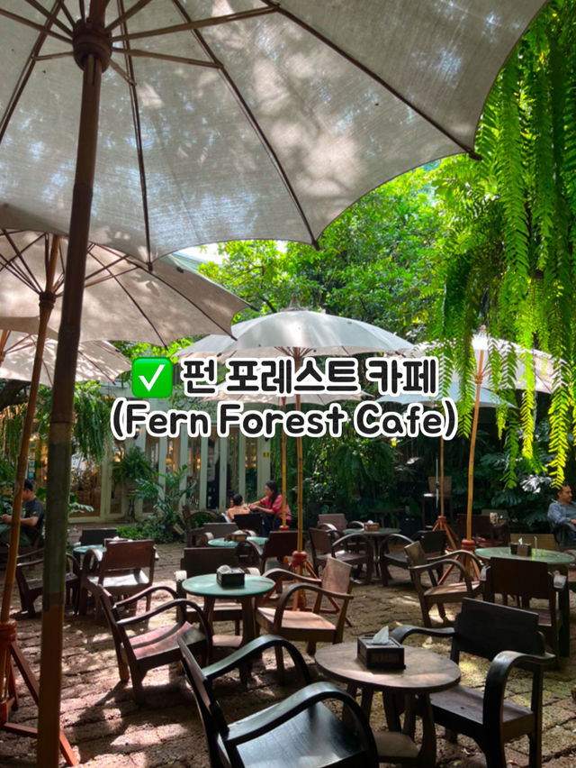 치앙마이가면 꼭 가봐야하는 초록 감성 가득한 숲세권 TOP4