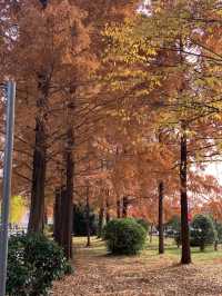 정말 좋았던 가을 단풍놀이🍂🍁