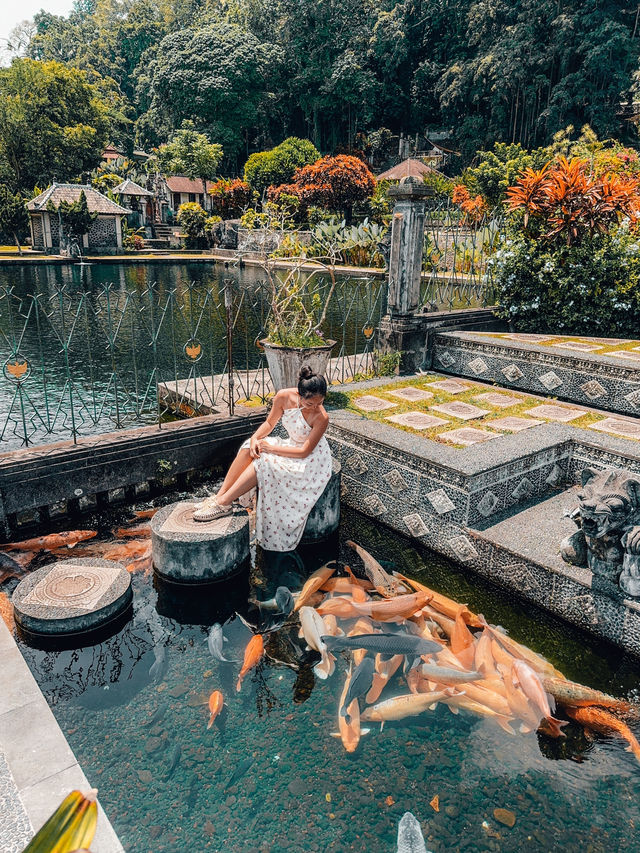 峇里島🌟水上宮殿✨Tirta Gangga 同巨型鯉魚合照🐟