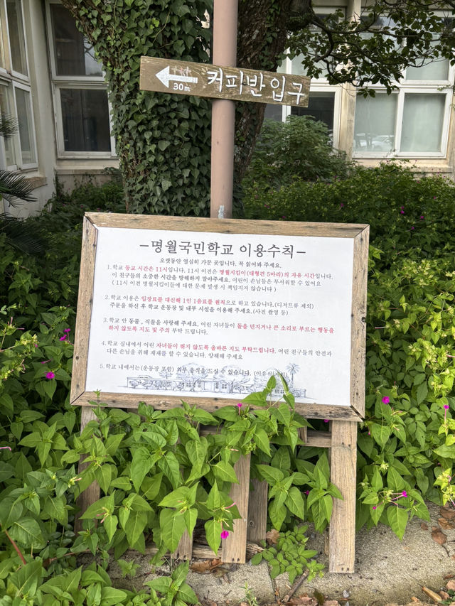 야외 테라스가 있는 제주카페 [명월국민학교]🍀
