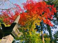 福岡🇯🇵雷山千如寺