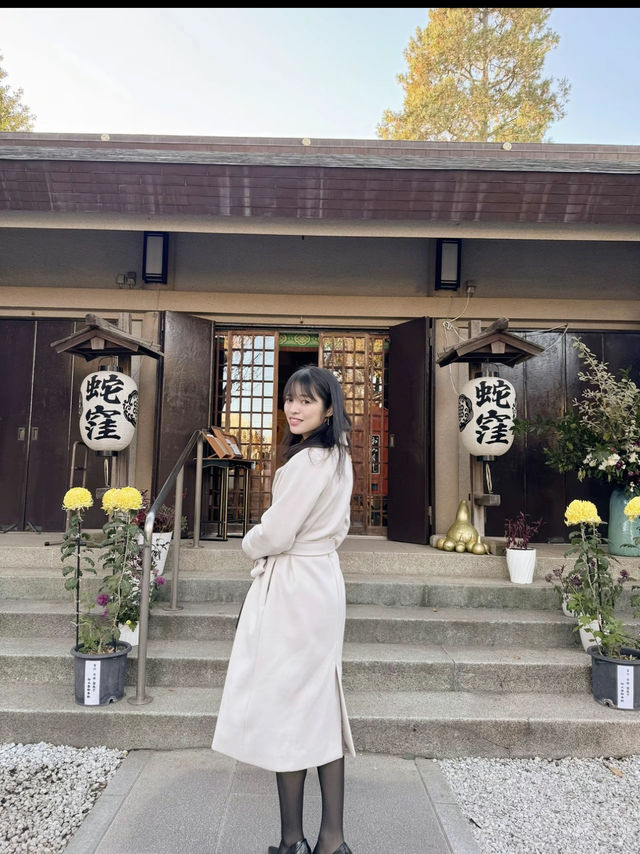 〜東京都〜2025年初詣はココ！ヘビ年に行くべき神社⛩️