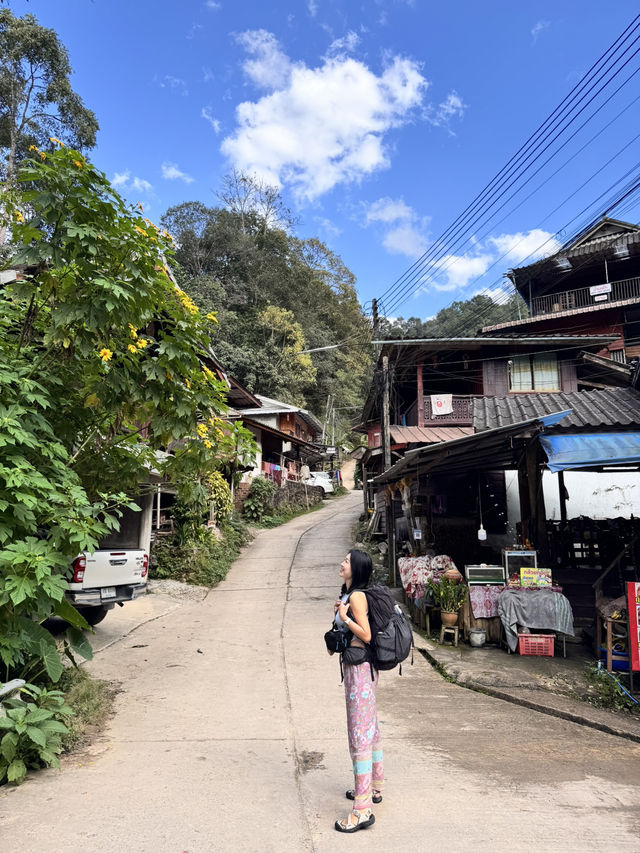 치앙마이 근교 여행지 추천🇹🇭