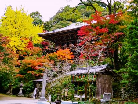 兵庫🇯🇵書寫圓教寺