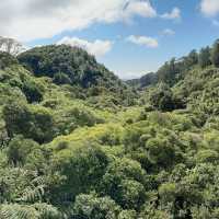 Zealandia Te Māra a Tāne: A Conservation Triumph