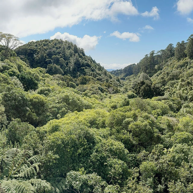 Zealandia Te Māra a Tāne: A Conservation Triumph