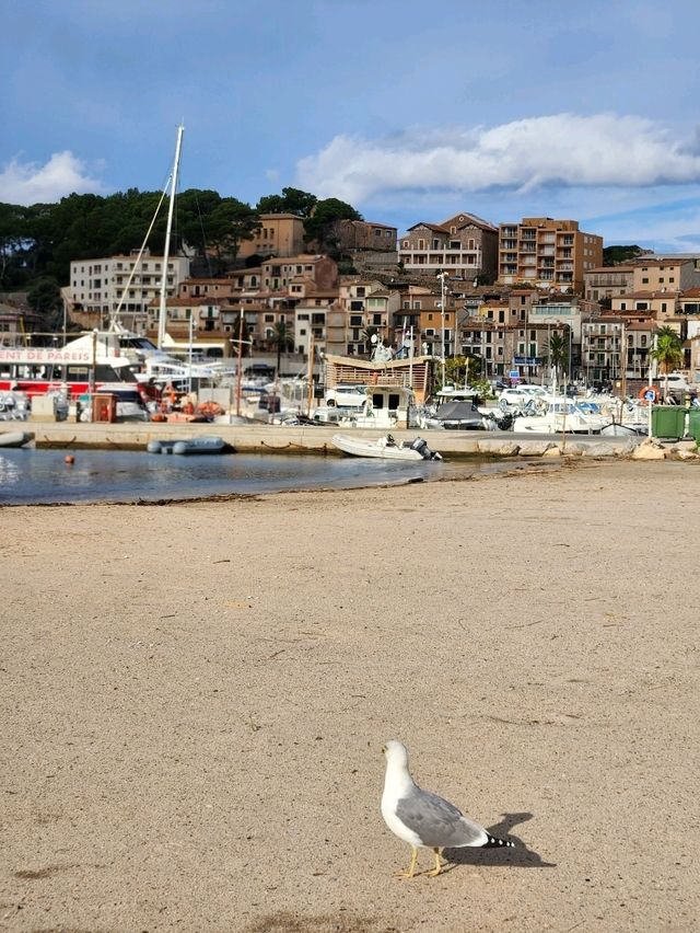 🧡마요르카 여행 중 힐링했던 "소예르항구(Port de Sóller)"🧡