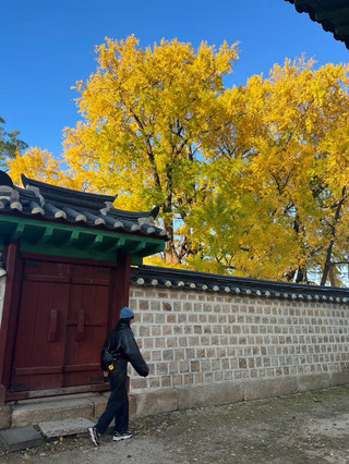 See the changing leaves at Songgwunkwan