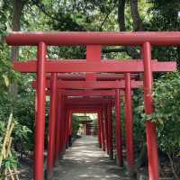 【福岡】自然豊かな神社