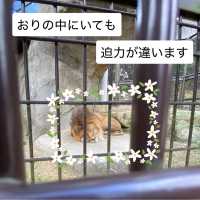 動物に癒されよう！のんほいパーク(豊橋総合動植物公園）