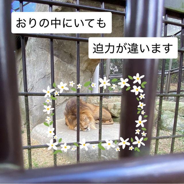 動物に癒されよう！のんほいパーク(豊橋総合動植物公園）