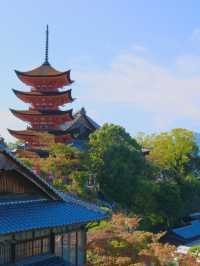 【広島／宮島】絶景を見ながらワイン