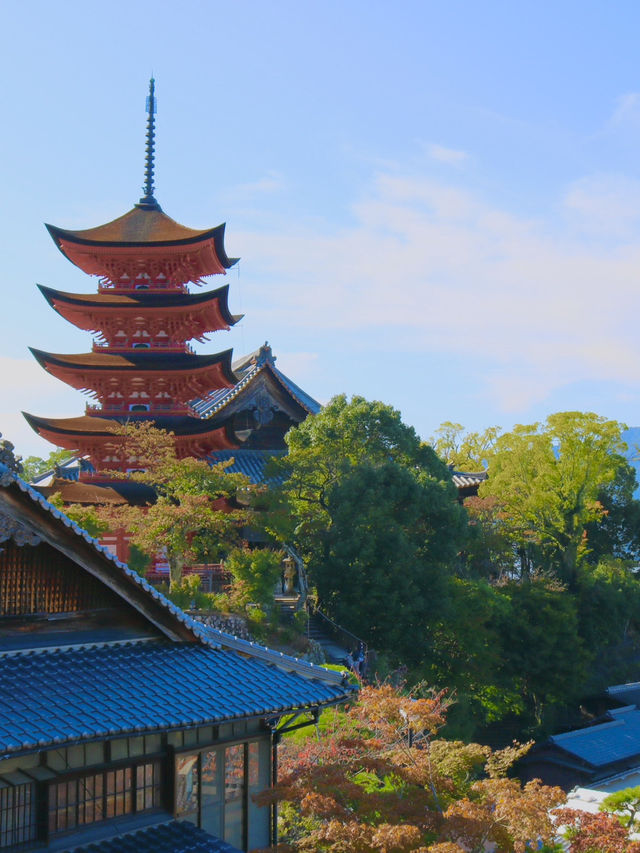 【広島／宮島】絶景を見ながらワイン