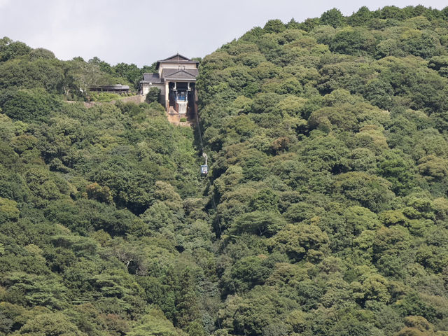 夏季的錦帶橋與岩國城