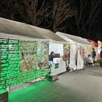 🇯🇵【香川県】国営さぬきまんのう公園！イルミネーション
