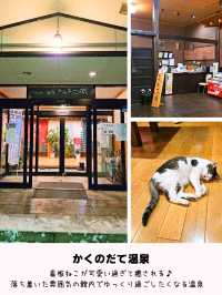 【秋田】冬の秋田観光で行きたい⁡スポット 4選⁡