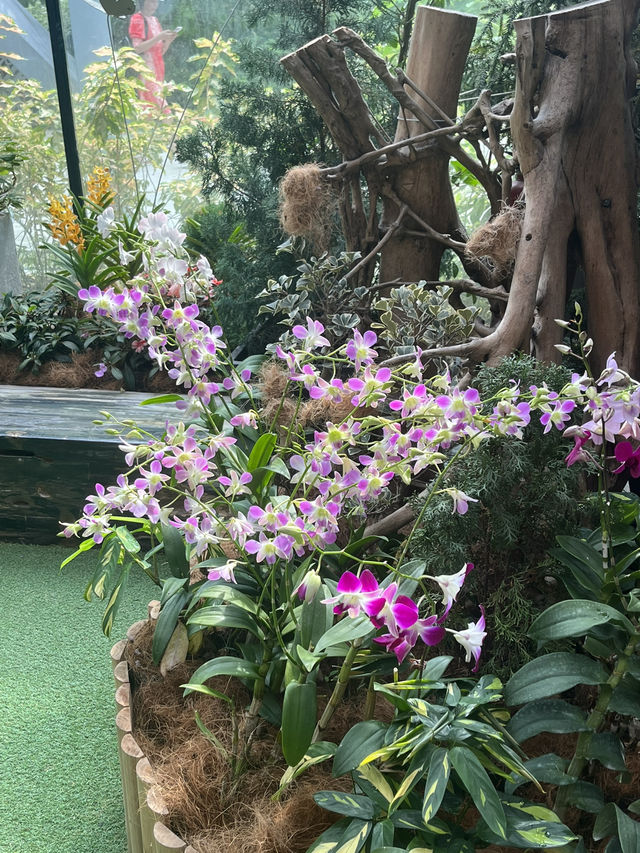 Floral Fantasy at Gardens by the Bay 🌸