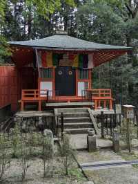 Tanzan Jinjia, Japan