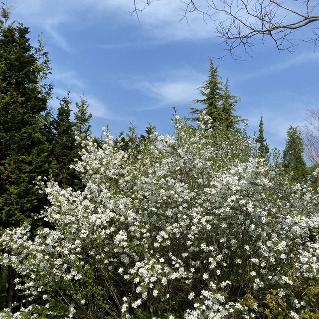 힐링이 필요할 땐 통영 ‘산유골 수목공원’ 🌳✨