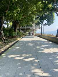 🚶‍♀️‍➡️🌸 人在花叢中｜香港賞花野餐首選海濱公園🥇🌹🌈