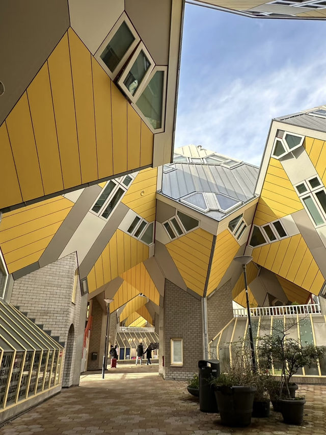 A Perfect Day in Rotterdam: Exploring Iconic Architecture and Art