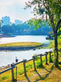 珠海景點推薦：香山湖公園的自然美景與休閒體驗🌳