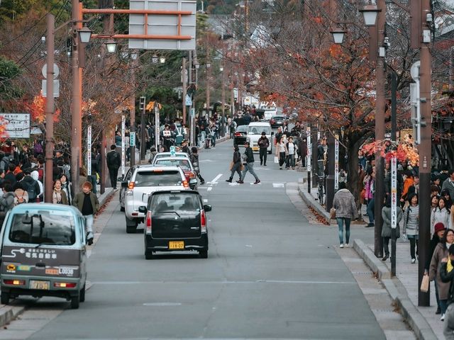 อาราชิยามา (Arashiyama)