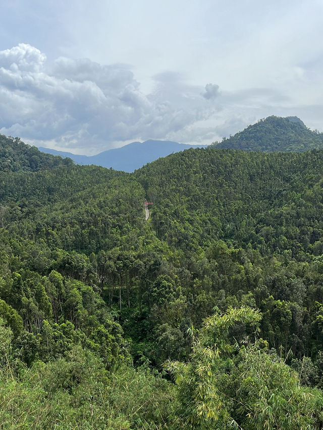 Gaharu Tea Valley: A Tranquil Escape into Nature