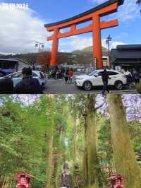【冬旅におすすめ⛄️箱根おとなの映え旅スポット👫🏻🌱】