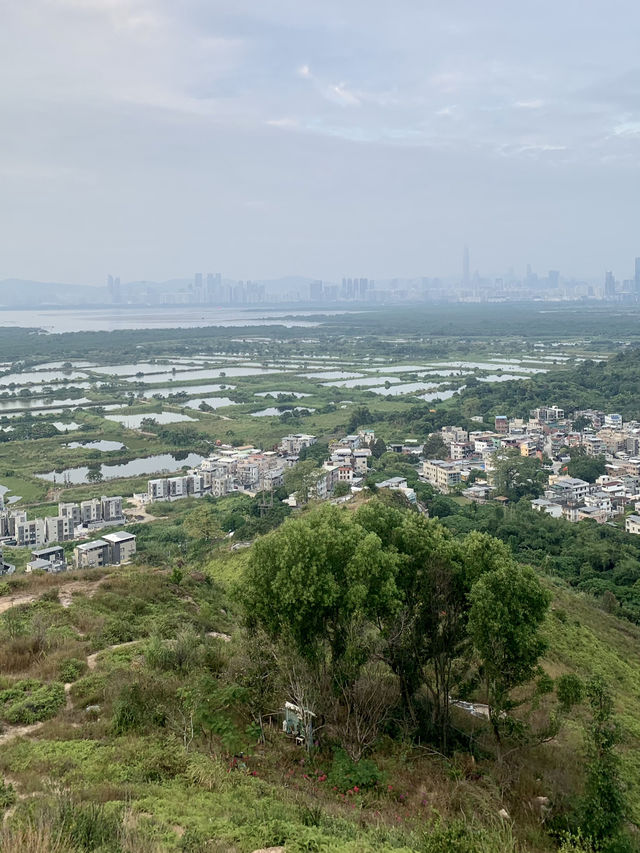 Underrated hike with wetland and Shenzhen view ❤️