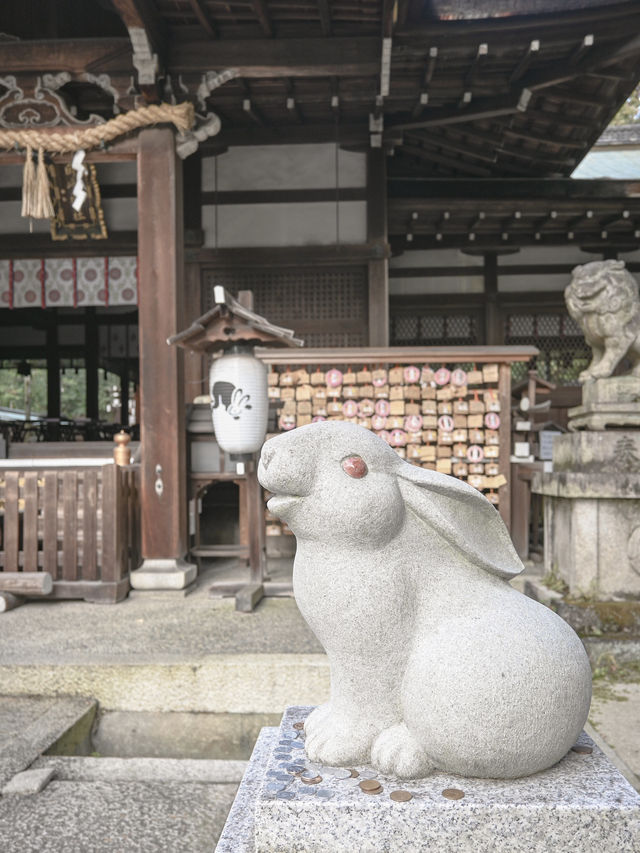 【京都】うさぎさんの神社🐰岡崎神社