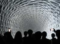 沉浸式藝術的極致體驗—東京麻布台之丘 teamLab Borderless 參訪心得