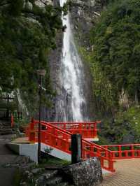  A Journey to Sacred Serenity: My Adventure to Kumano-Nachi Grand Shrine