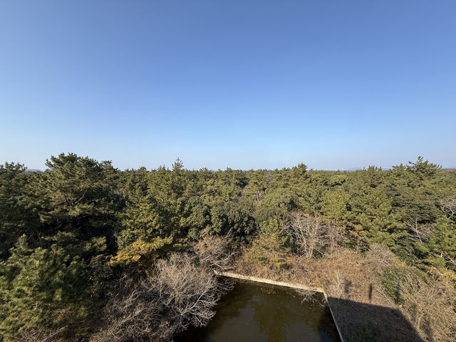 제주 서쪽 곶자왈 걷기