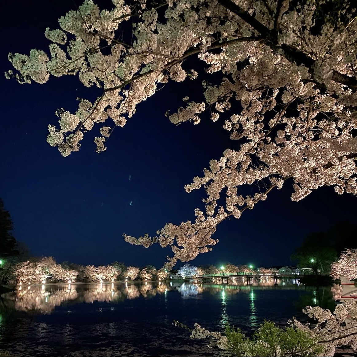 [Suzaka City🇯🇵] A park with a zoo that's recommended for the coming season🌸