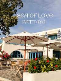 คาเฟ่ Sea Of Love 📍พัทยา🌊
