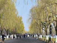 Morning walk at West Lake, Hangzhou