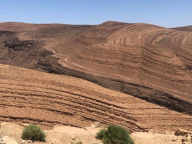 Into the desert