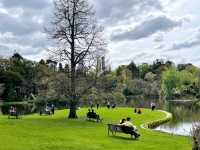 Romancing the Roses (and Everything Else) at Fitzroy Gardens